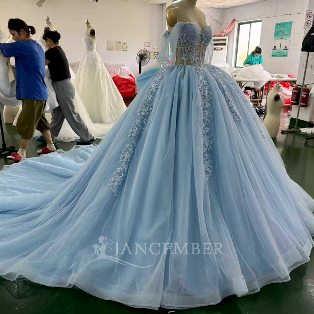 Blue Princess Ball Gown Quince - Embroidery Organza avaliação e preço