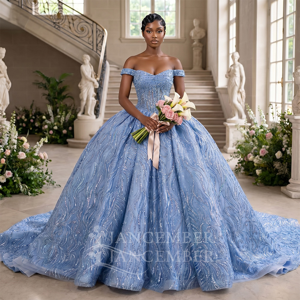 Customized Blue Quinceanera Dr - Embroidery Organza avaliação e preço